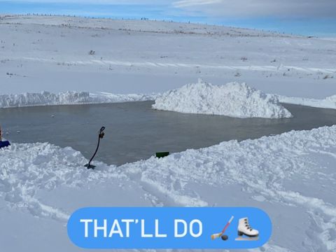 Shiny new rink!